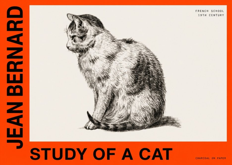 Jean Bernard Study of a Cat IV No6 - Poszter