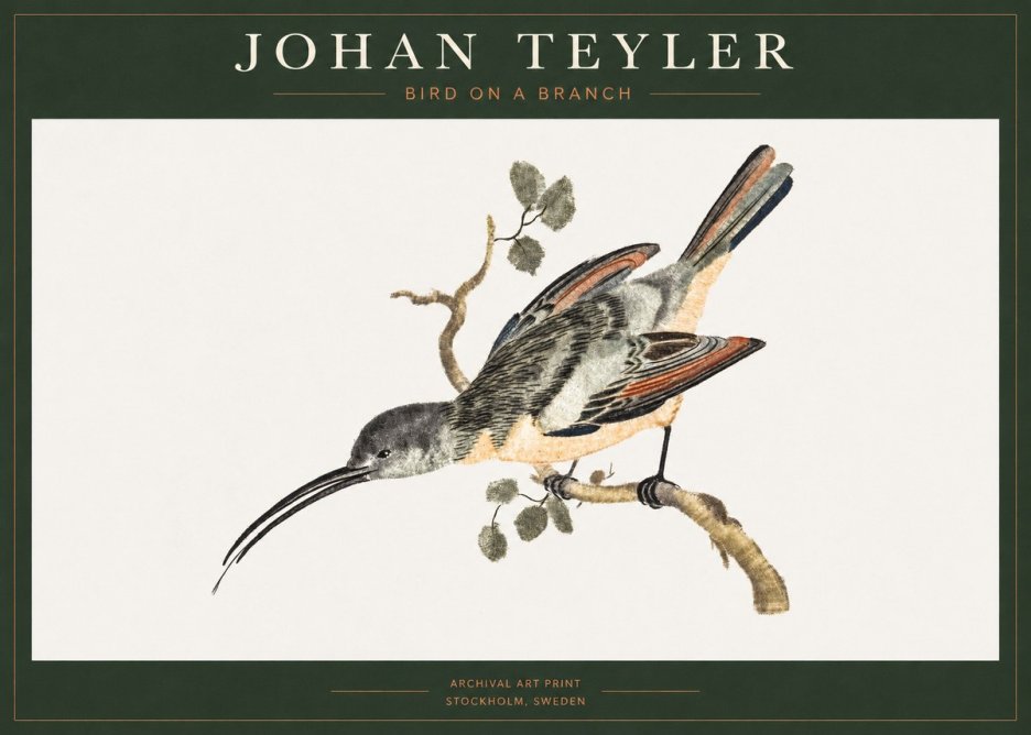Johan Teyler Bird on a Branch No1 - Poszter