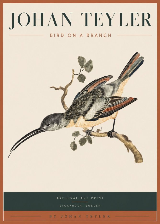 Johan Teyler Bird on a Branch No3 - Poszter