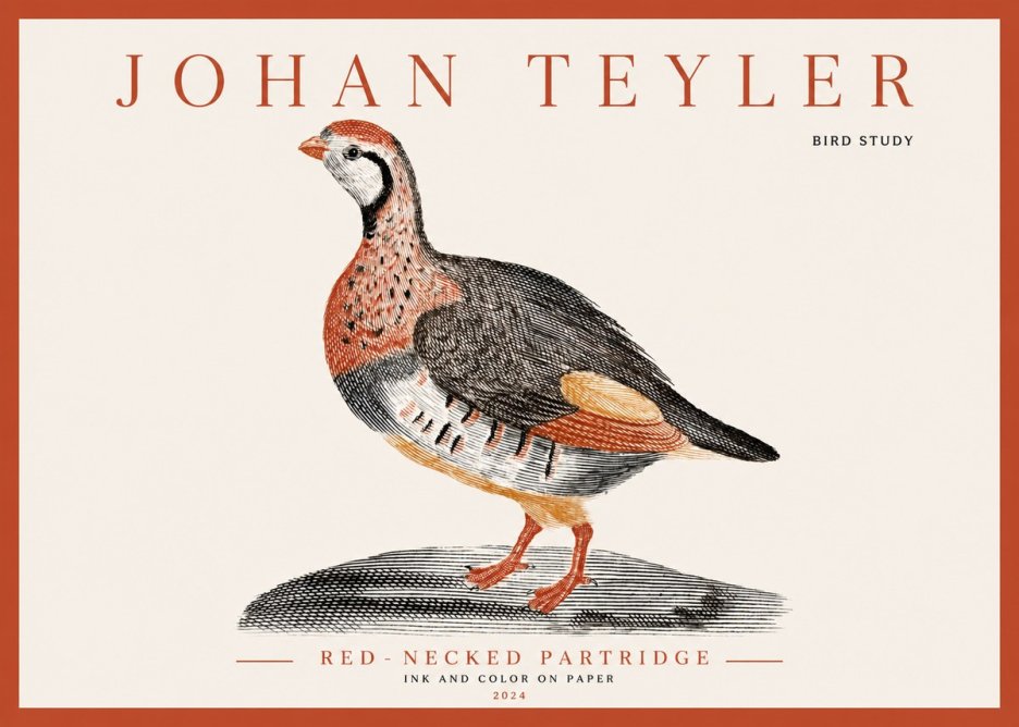 Johan Teyler Red-necked Partridge No3 - Poszter