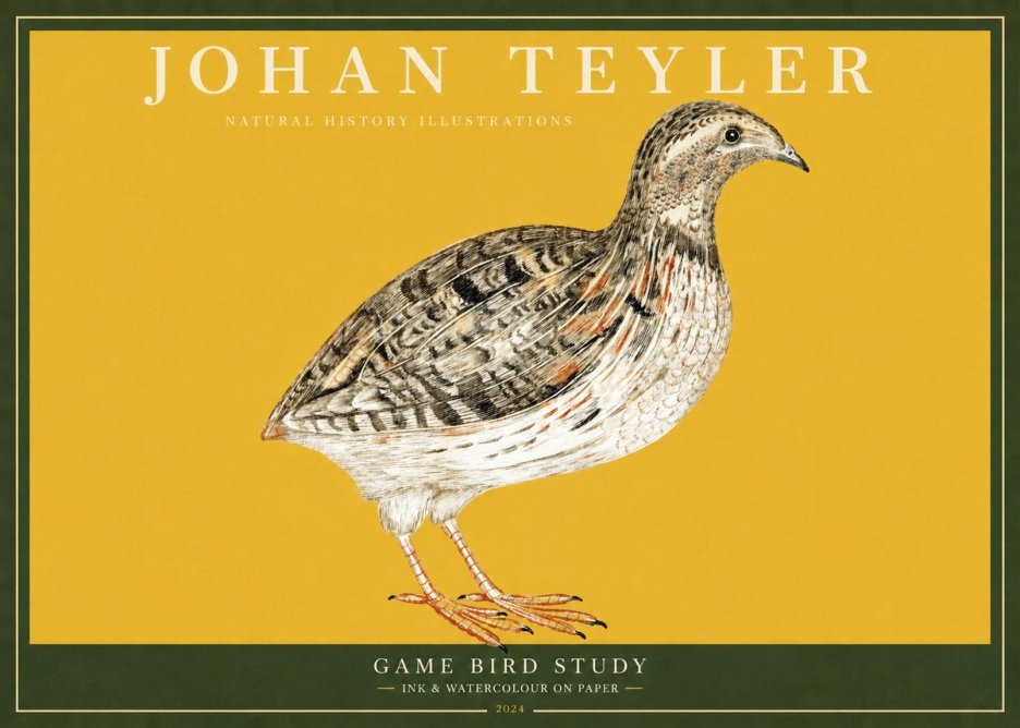 Johan Teyler Game Bird Study No2 - Poszter