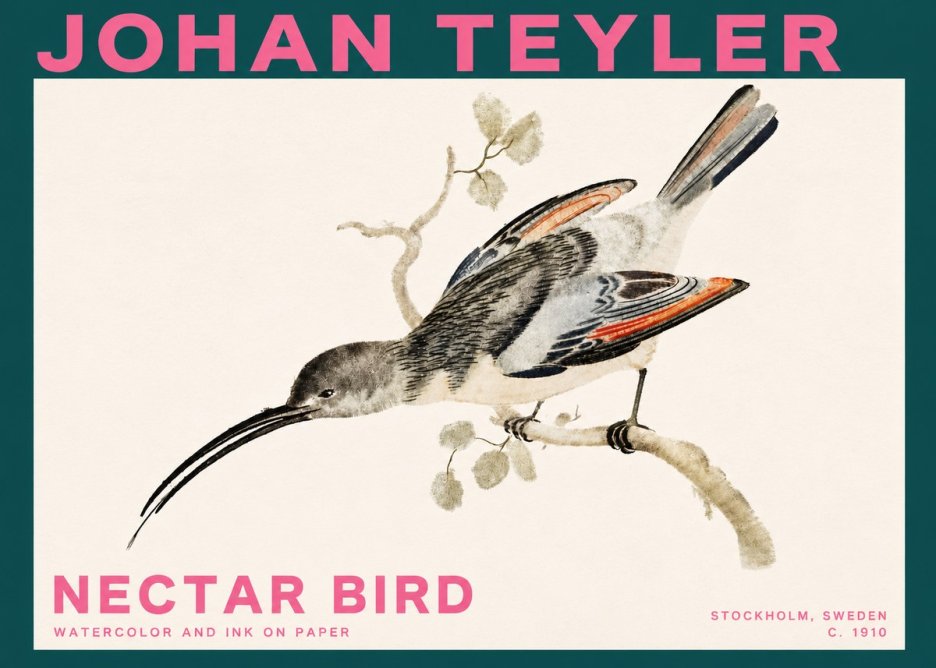 Johan Teyler Nectar Bird No3 - Poszter
