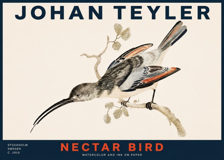 Johan Teyler Nectar Bird No4 - Poszter