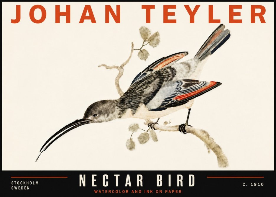 Johan Teyler Nectar Bird No6 - Poszter