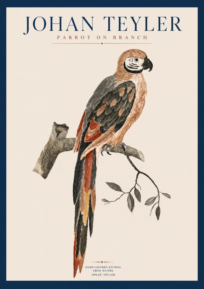 Johan Teyler Parrot on Branch No3 - Poszter