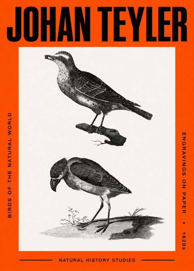 Johan Teyler Birds of the Natural World No2 - Poszter