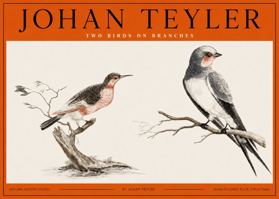 Johan Teyler Two Birds on Branches No2 - Poszter