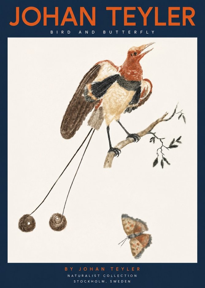 Johan Teyler Bird and Butterfly No2 - Poszter