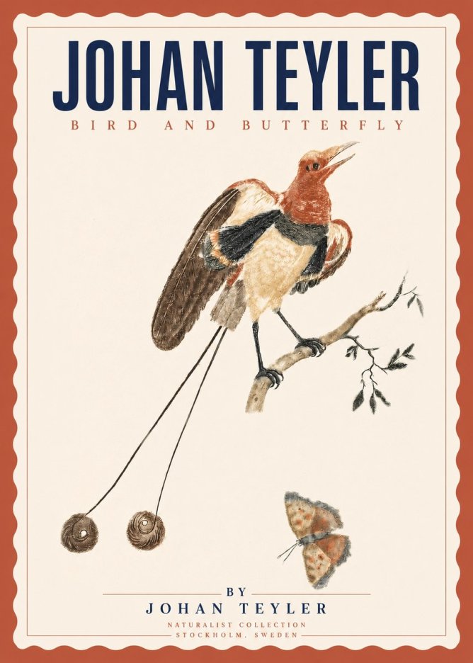 Johan Teyler Bird and Butterfly No3 - Poszter