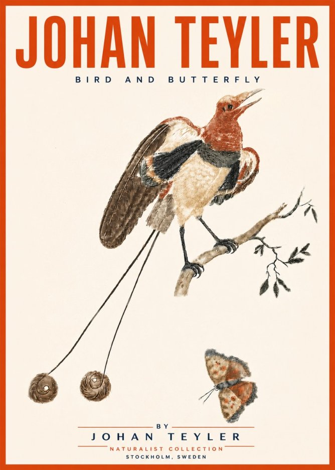 Johan Teyler Bird and Butterfly No5 - Poszter