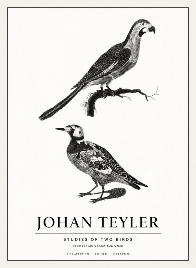 Johan Teyler Birds - Study of Two Species No3 - Poszter