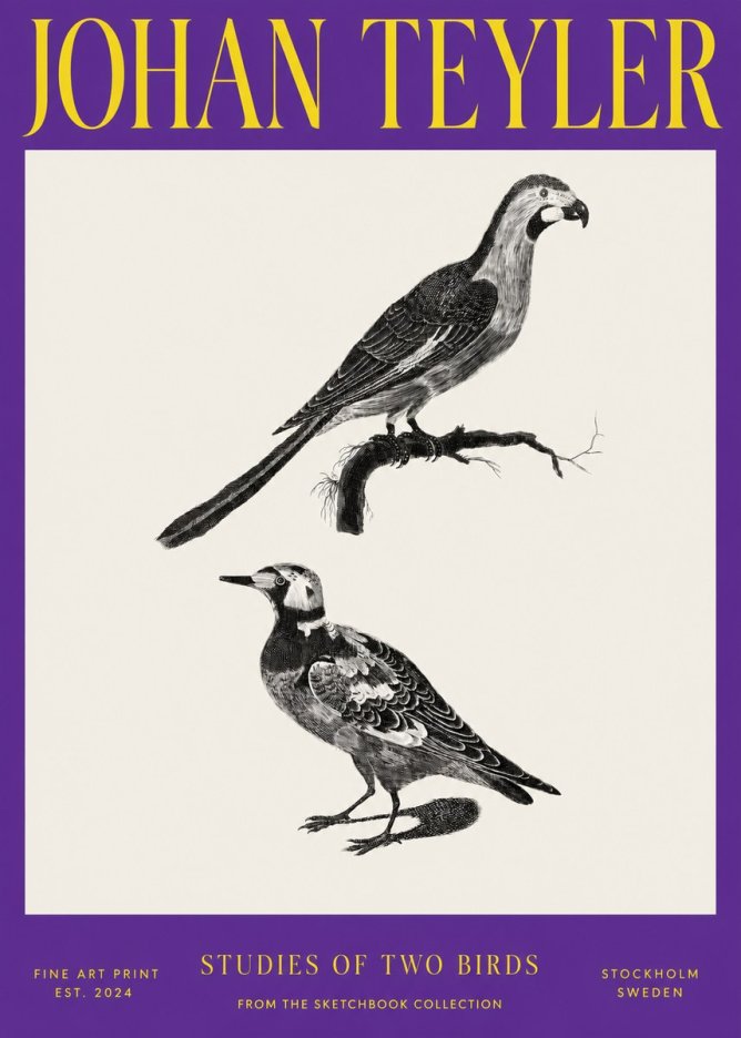 Johan Teyler Birds - Study of Two Species No4 - Poszter