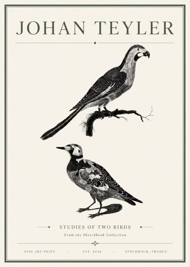 Johan Teyler Birds - Study of Two Species No6 - Poszter