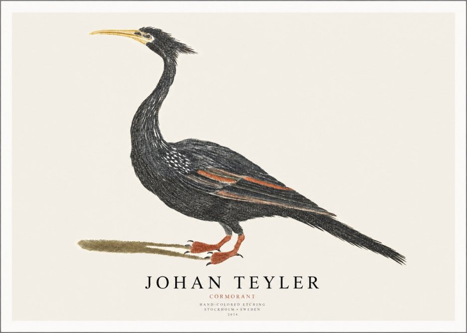 Johan Teyler Cormorant No1 - Poszter