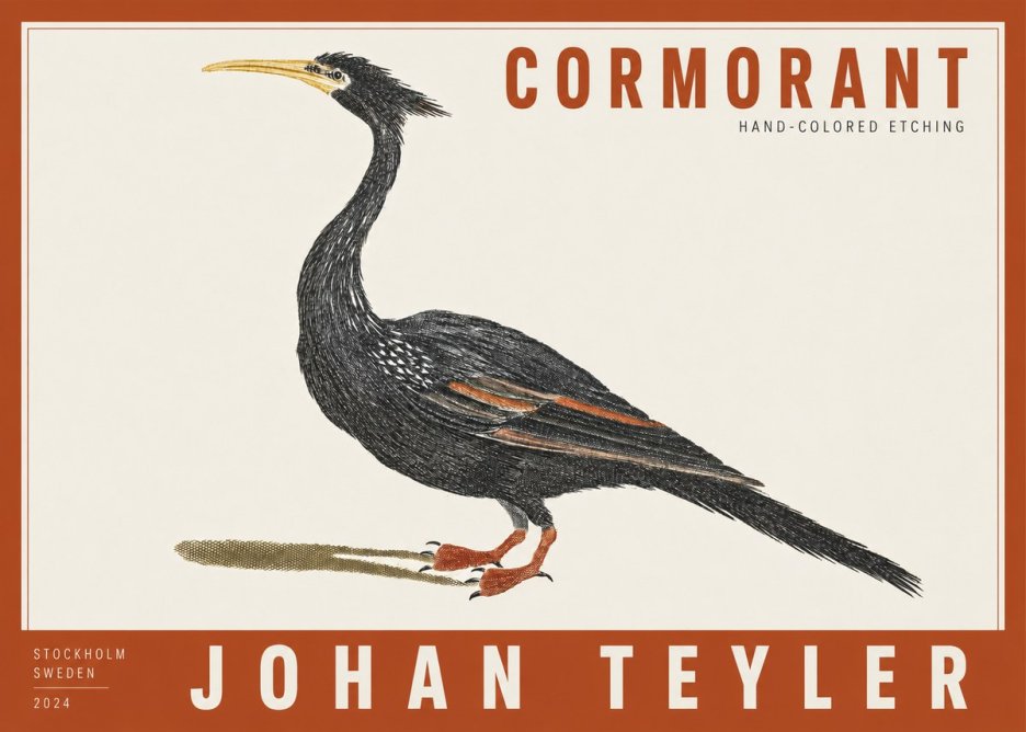 Johan Teyler Cormorant No2 - Poszter