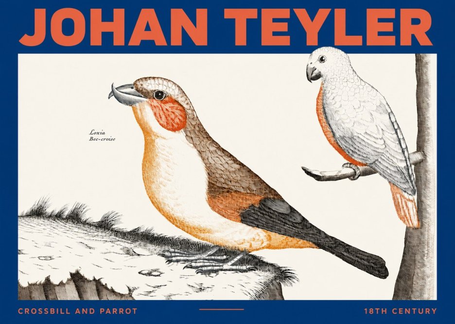 Johan Teyler Crossbill and Parrot No2 - Poszter