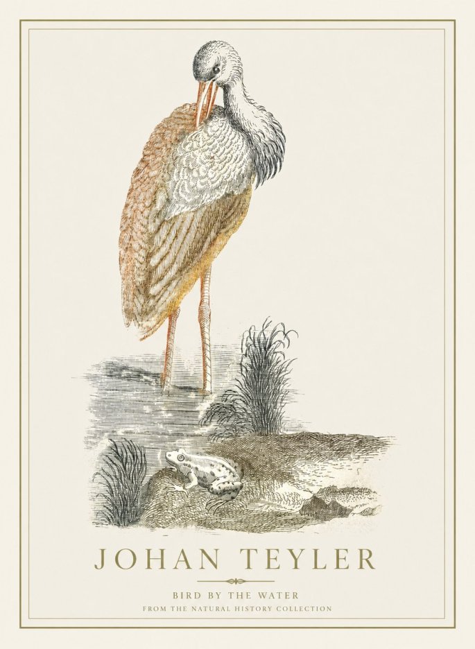 Johan Teyler Bird by the Water No1 - Poszter