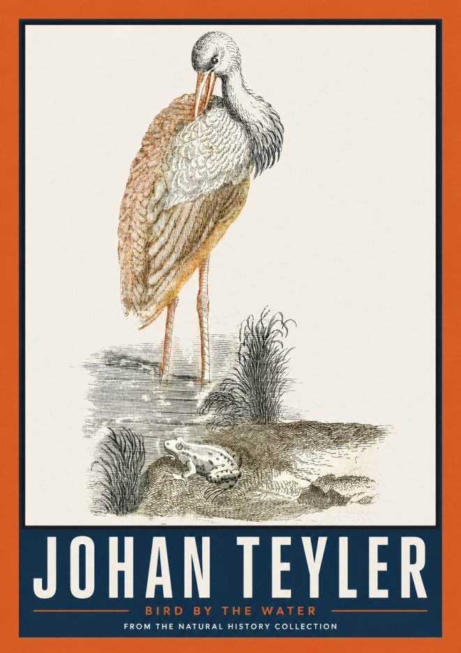 Johan Teyler Bird by the Water No2 - Poszter