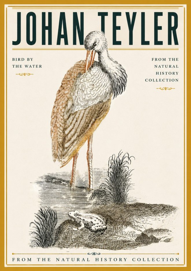 Johan Teyler Bird by the Water No6 - Poszter