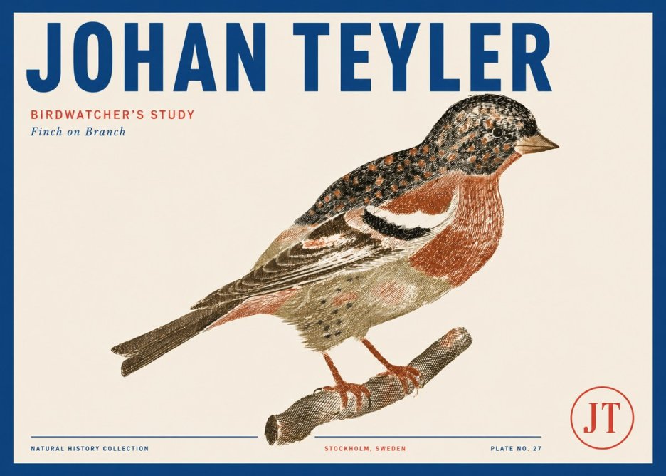 Johan Teyler Finch on Branch No3 - Poszter