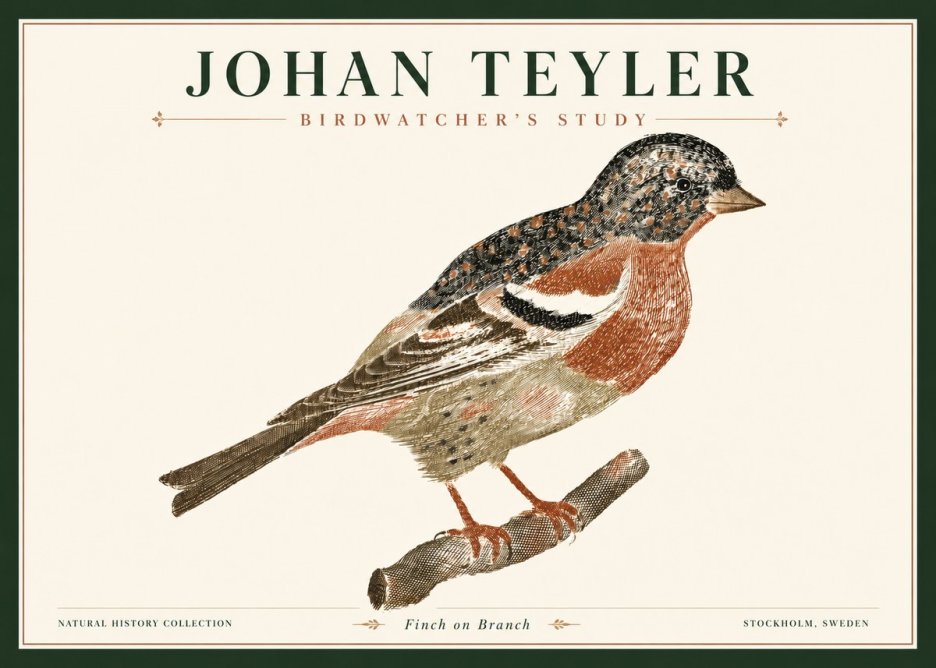Johan Teyler Finch on Branch No4 - Poszter