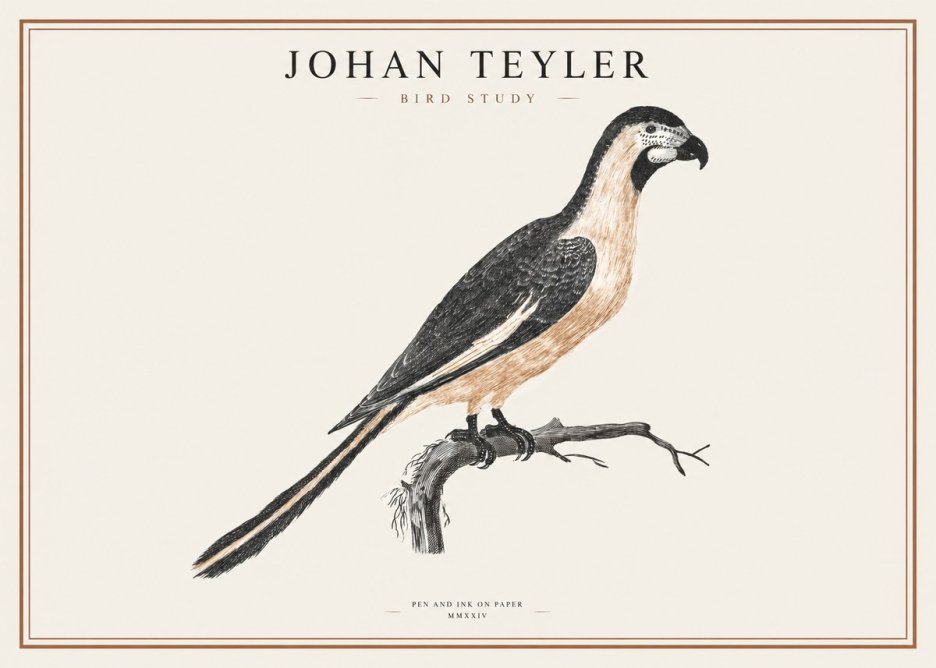 Johan Teyler Bird Study I No1 - Poszter