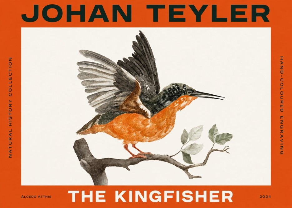 Johan Teyler Kingfisher No4 - Poszter