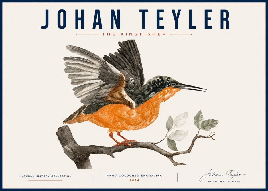 Johan Teyler Kingfisher No6 - Poszter