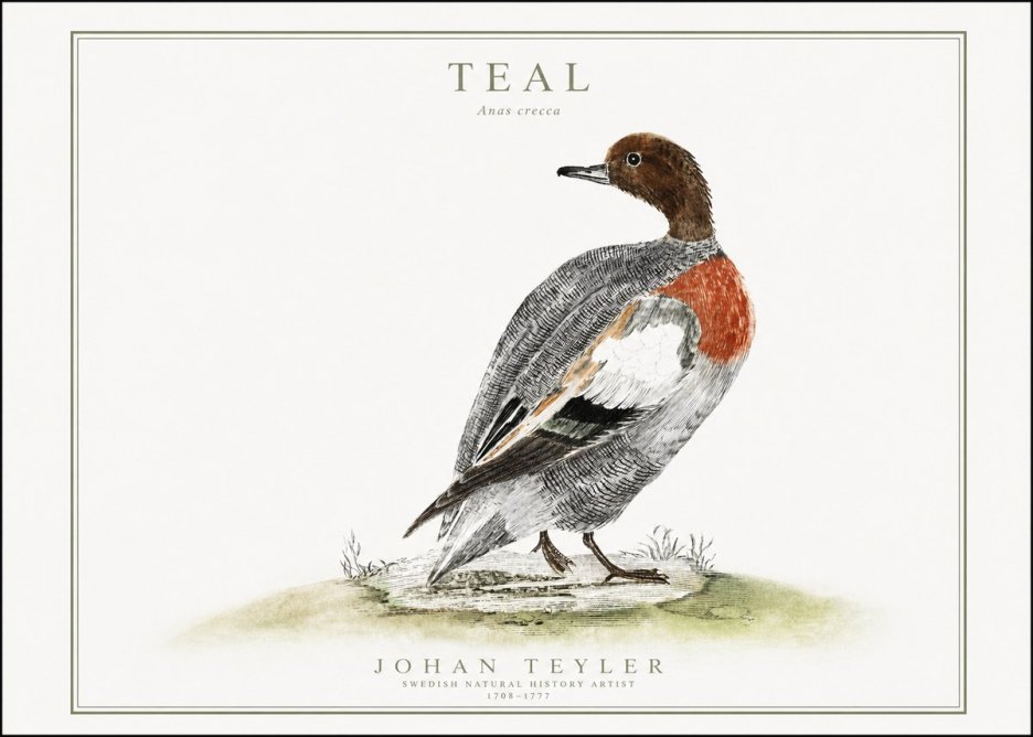 Johan Teyler Teal No1 - Poszter