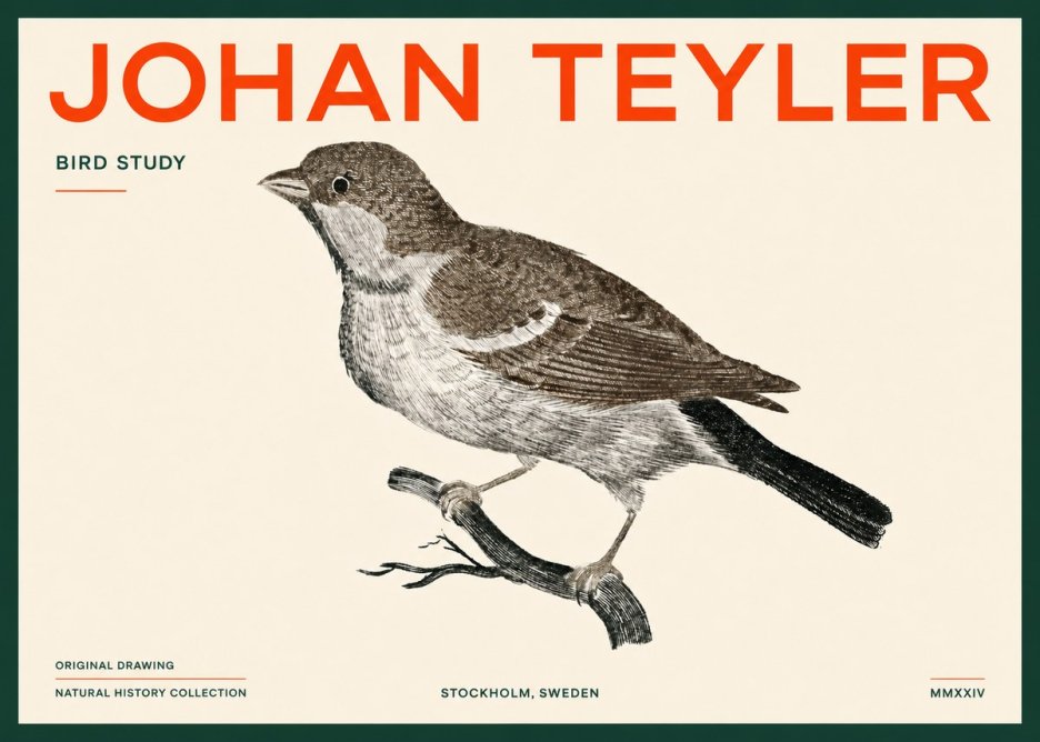 Johan Teyler Bird Study II No5 - Poszter