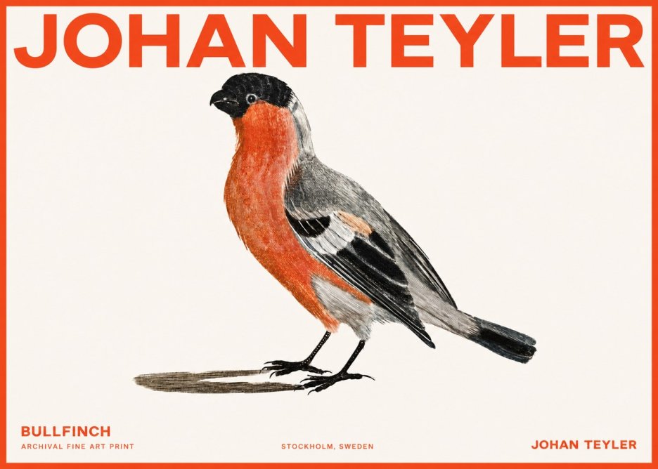 Johan Teyler Bullfinch No2 - Poszter