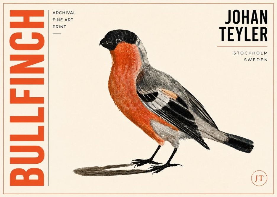 Johan Teyler Bullfinch No3 - Poszter