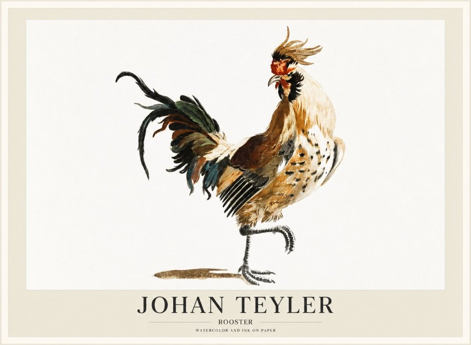 Johan Teyler Rooster No1 - Poszter