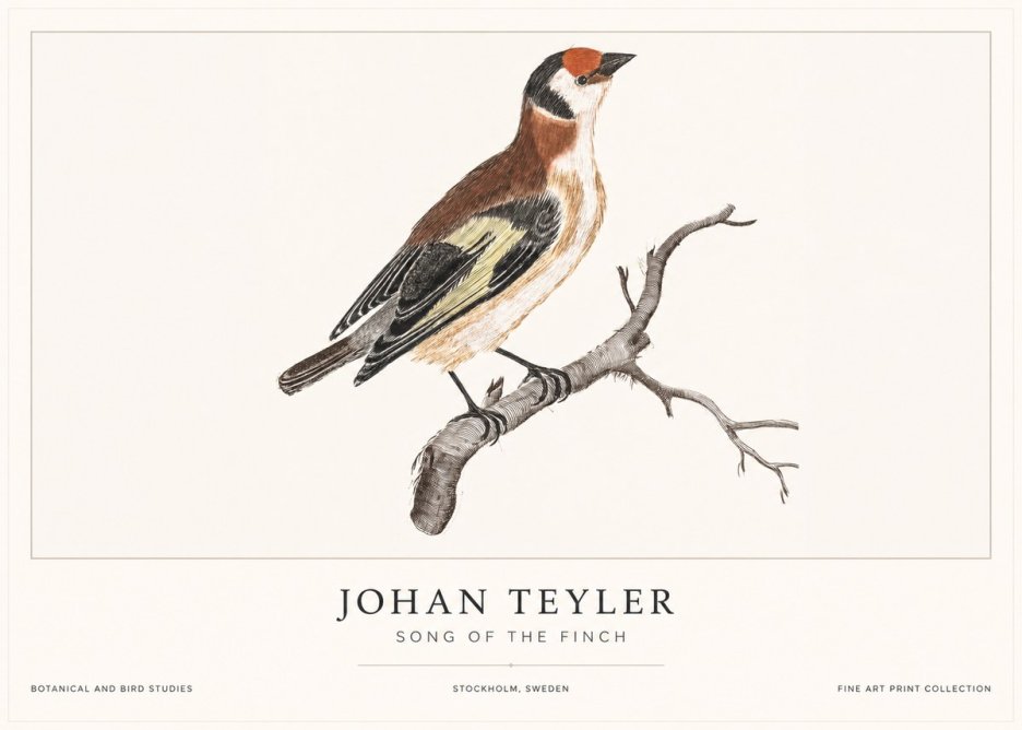 Johan Teyler Song of the Finch No1 - Poszter