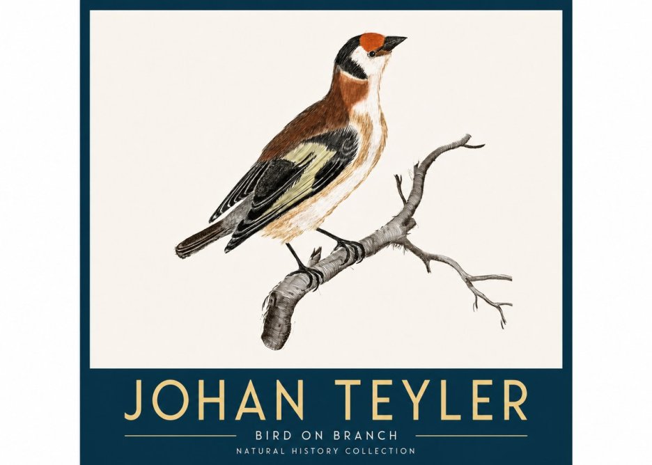 Johan Teyler Song of the Finch No4 - Poszter