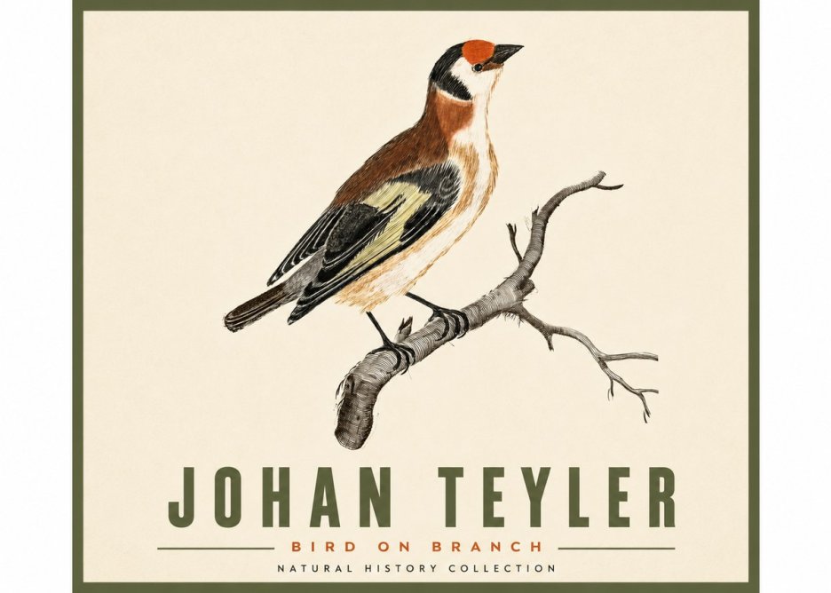 Johan Teyler Song of the Finch No5 - Poszter