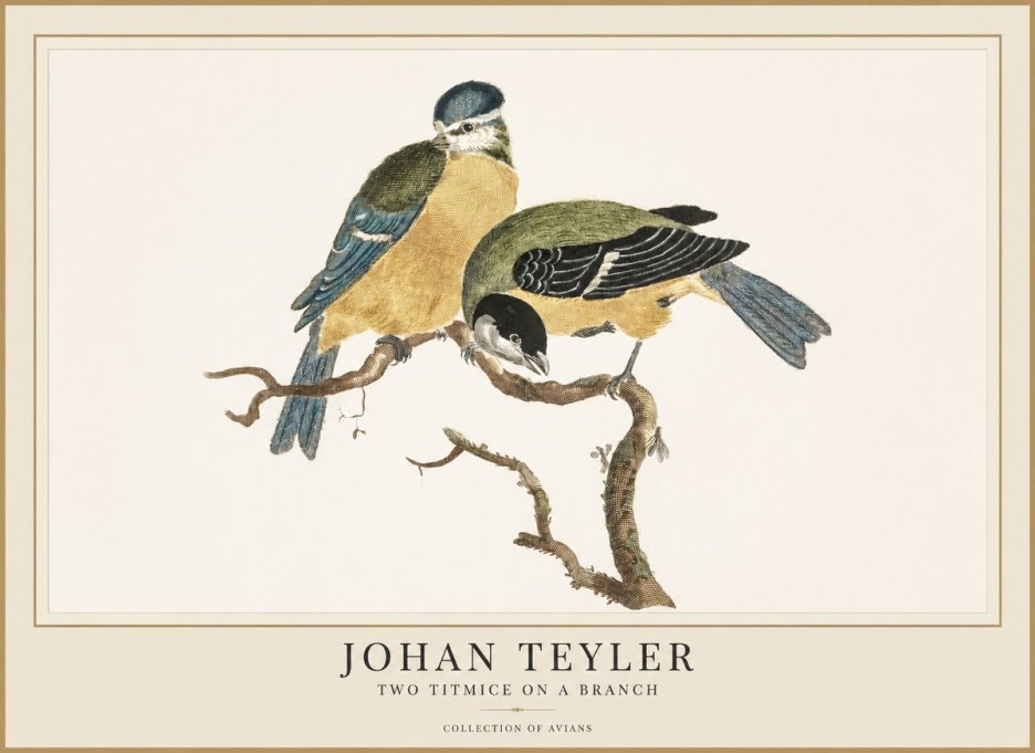 Johan Teyler Two Titmice on a Branch No1 - Poszter