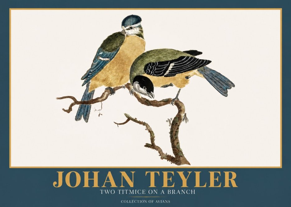 Johan Teyler Two Titmice on a Branch No2 - Poszter