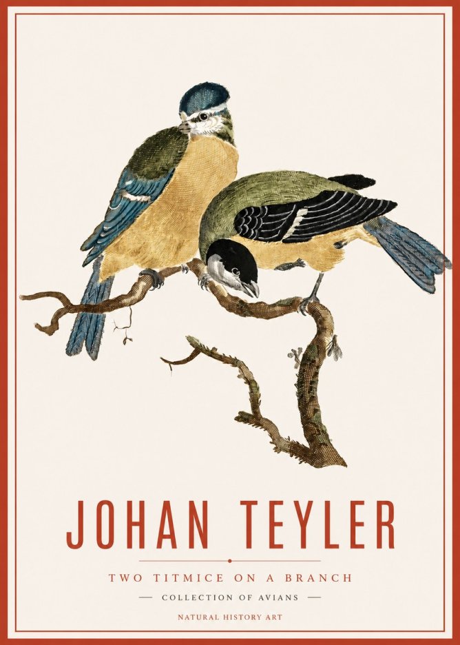 Johan Teyler Two Titmice on a Branch No6 - Poszter