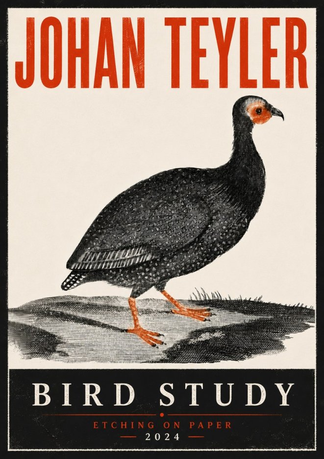 Johan Teyler Bird Study III No6 - Poszter