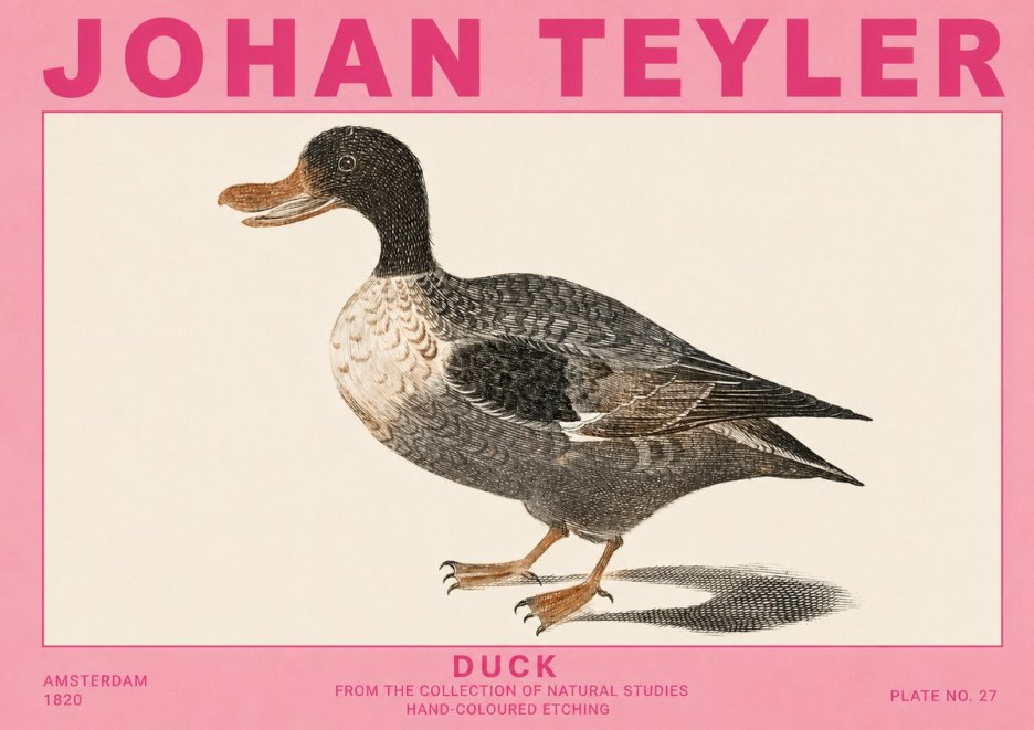 Johan Teyler Duck I No5 - Poszter