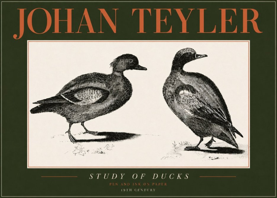 Johan Teyler Study of Ducks No4 - Poszter
