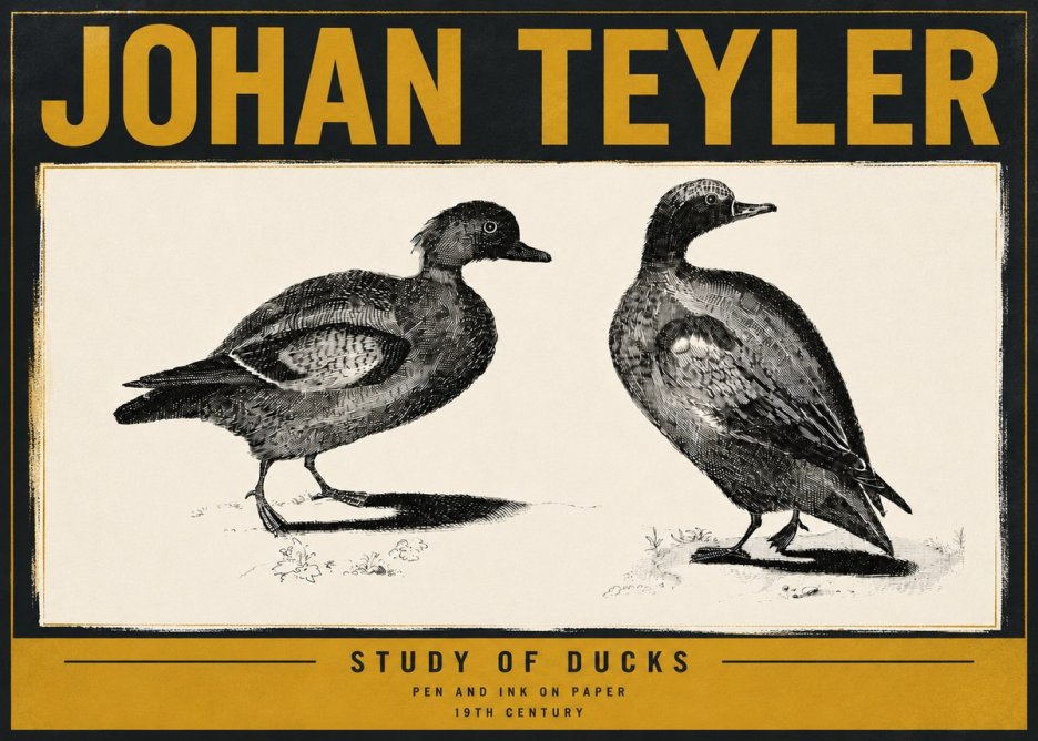 Johan Teyler Study of Ducks No6 - Poszter