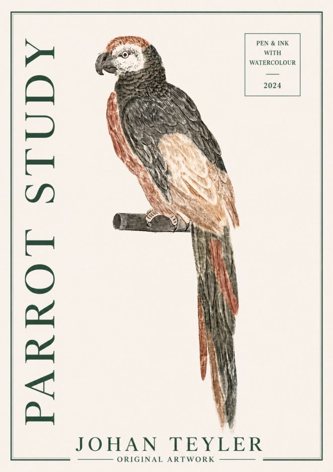 Johan Teyler Parrot Study II No3 - Poszter