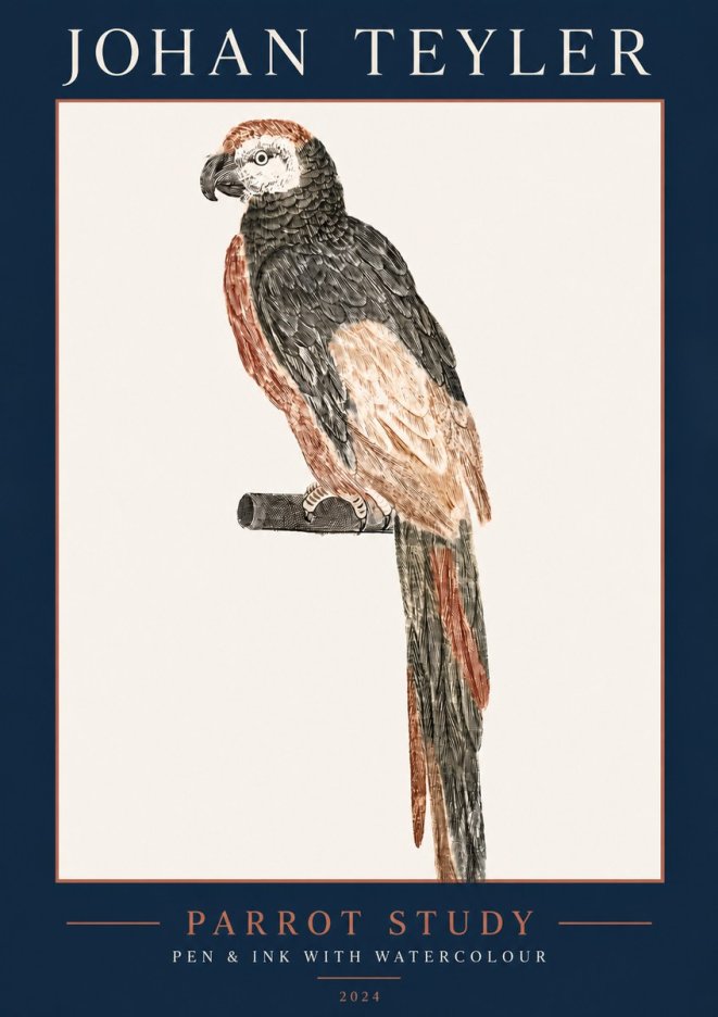 Johan Teyler Parrot Study II No5 - Poszter