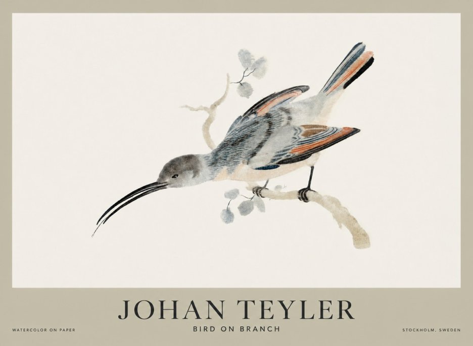 Johan Teyler Bird on Branch I No1 - Poszter