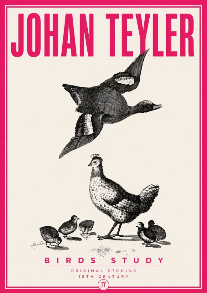 Johan Teyler Birds Study No6 - Poszter