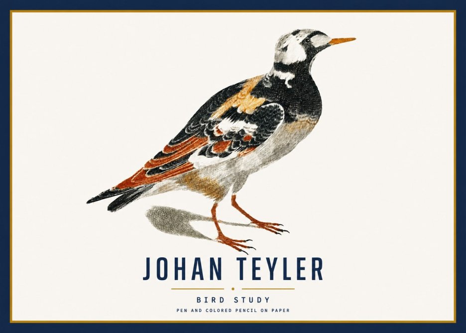 Johan Teyler Bird Study IV No3 - Poszter