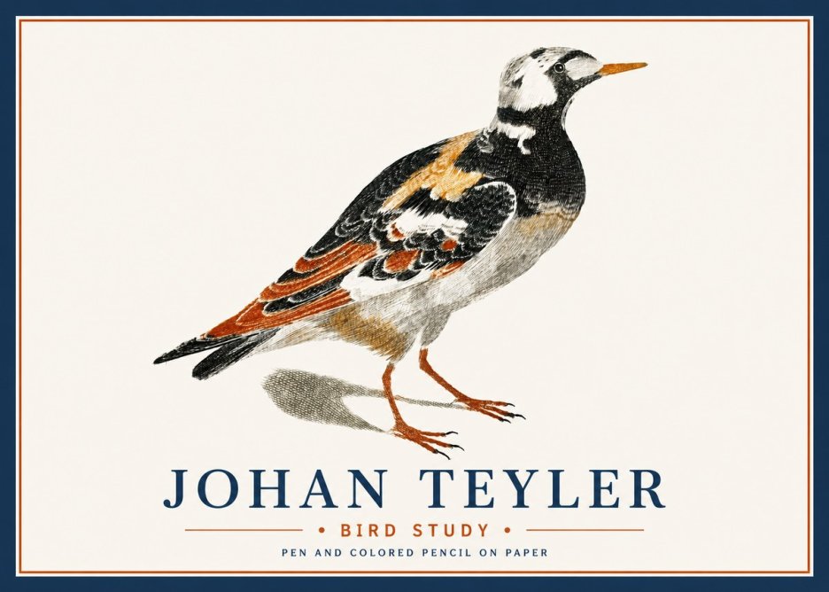 Johan Teyler Bird Study IV No6 - Poszter