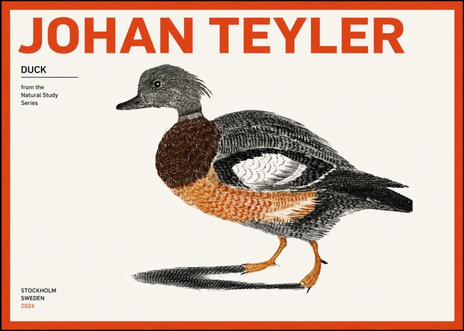Johan Teyler Duck II No2 - Poszter